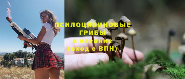 стаф Козельск