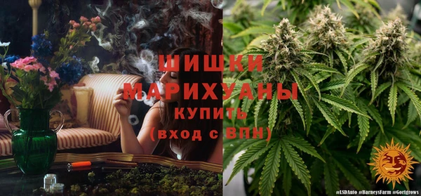 ECSTASY Яранск