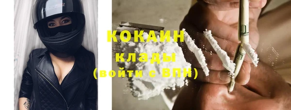 стаф Козельск