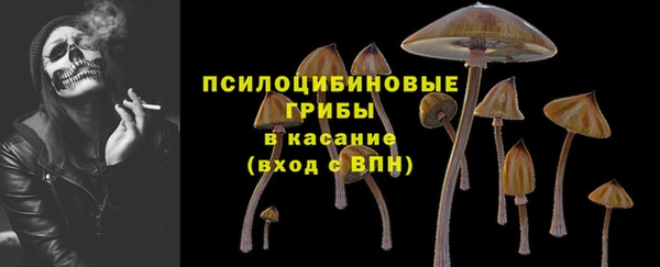стаф Козельск