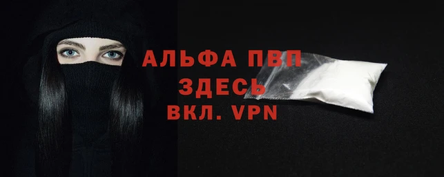 стаф Козельск