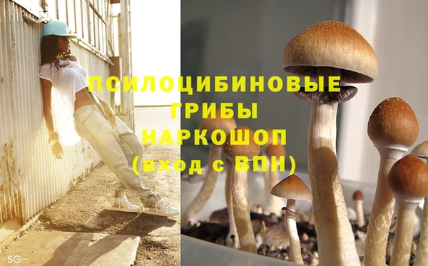 МДМА Кодинск