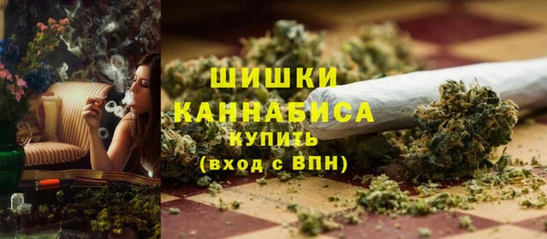 стаф Козельск