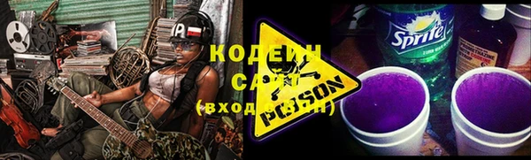 стаф Козельск