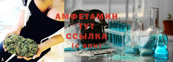 стаф Козельск
