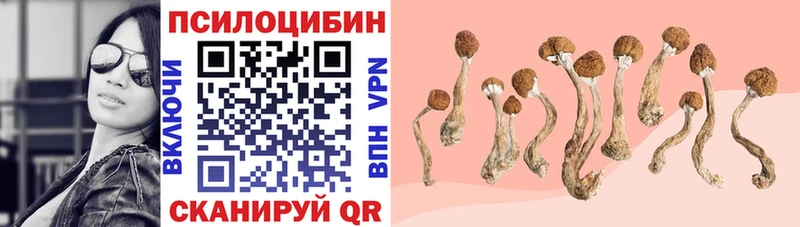 Галлюциногенные грибы GOLDEN TEACHER  Купить  Дагестанские Огни 
